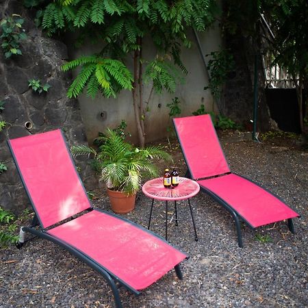 Le Bambou T3 Centre Ville Sainte Clotilde Rez De Jardin Bois de Nefles  Екстериор снимка