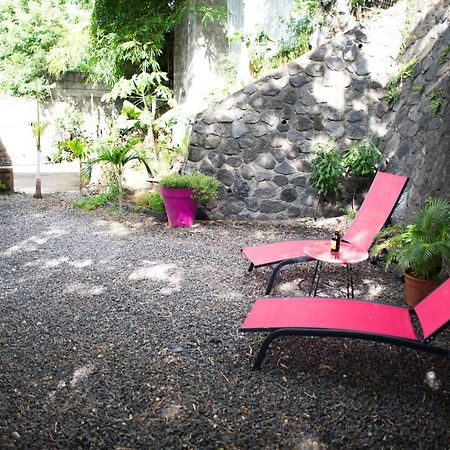 Le Bambou T3 Centre Ville Sainte Clotilde Rez De Jardin Bois de Nefles  Екстериор снимка