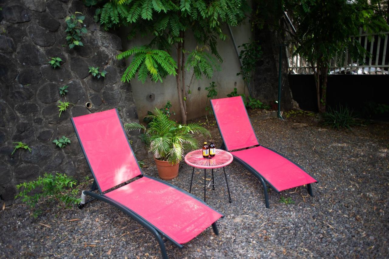 Le Bambou T3 Centre Ville Sainte Clotilde Rez De Jardin Bois de Nefles  Екстериор снимка